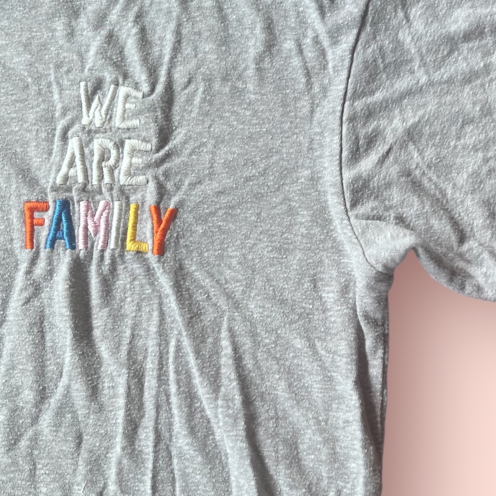 JUNKFOOD CLOTHING CO SZ MEDIUM GRAY T SHIRT WE ARE FAMILY